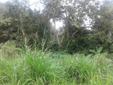 Kingston 19, Kingston / St. Andrew, Jamaica - Residential lot for Sale